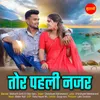 About Tor Pahali Najar Song